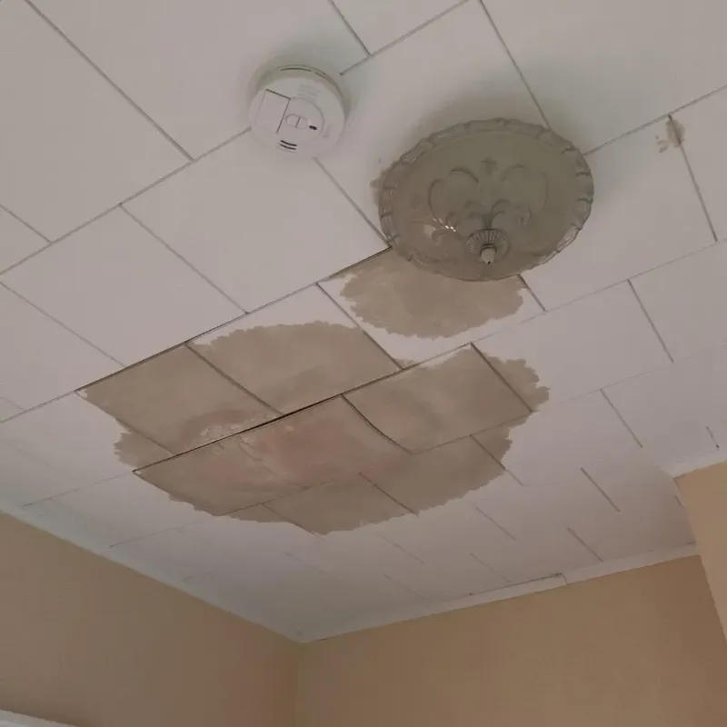 Ceiling Water Damage Repair in Rowley, MA