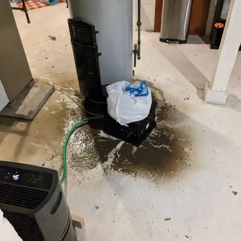 Sewage Backup Cleanup Service in Rowley, MA